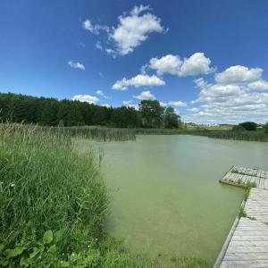 Pong with dock, surrounded by wetland and trees