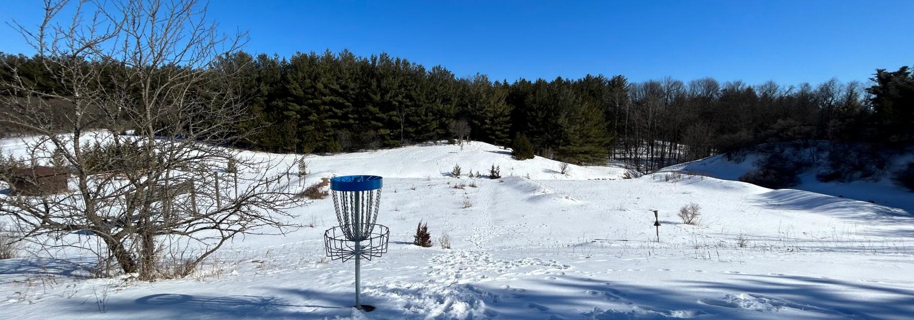 Winter Disc'n